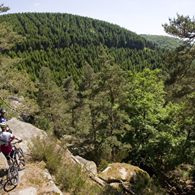 La GTMC, entre Avallon et Autun