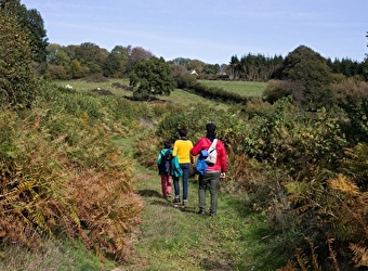 GR ® de Pays Grand Tour du Morvan par les Lacs - OUROUX-EN-MORVAN