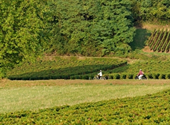 La VélOeno71 : à la rencontre du noble Pinot Noir - GIVRY