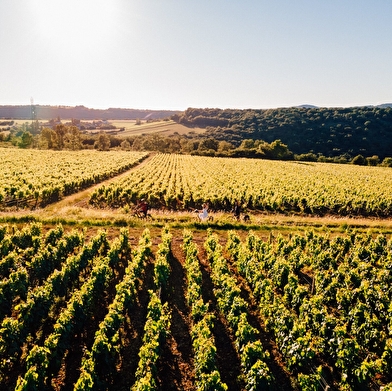 Boucle 'Vélo & Fromages'