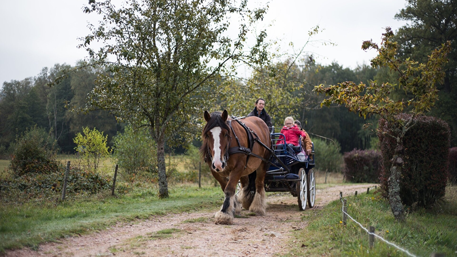 Les circuits attelage du Morvan, boucle du vézelien