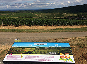 La randonnée oenotouristique d'Igé - IGE