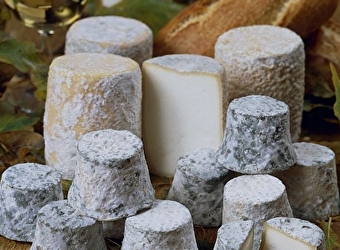 Boucle 'Vélo & Fromages' - MACON