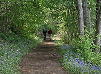 Bibracte - Alésia - GLUX-EN-GLENNE