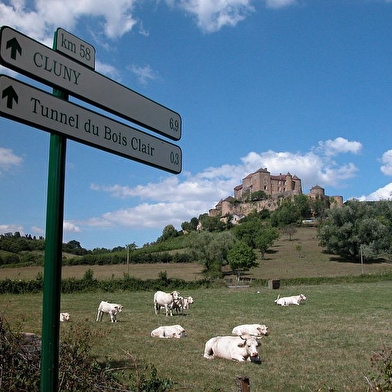 Boucle 'Vélo & Fromages'