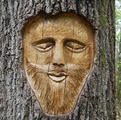 Circuit VTT Bois de la Brosse