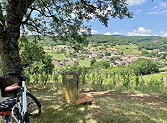 La VélOeno71 : dans les sillages du joyeux Gamay - ROMANECHE-THORINS